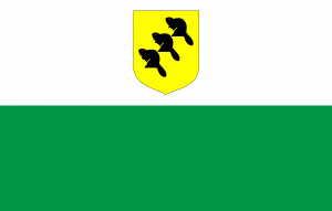 Flag of Põlva (County)